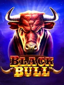 Black Bull